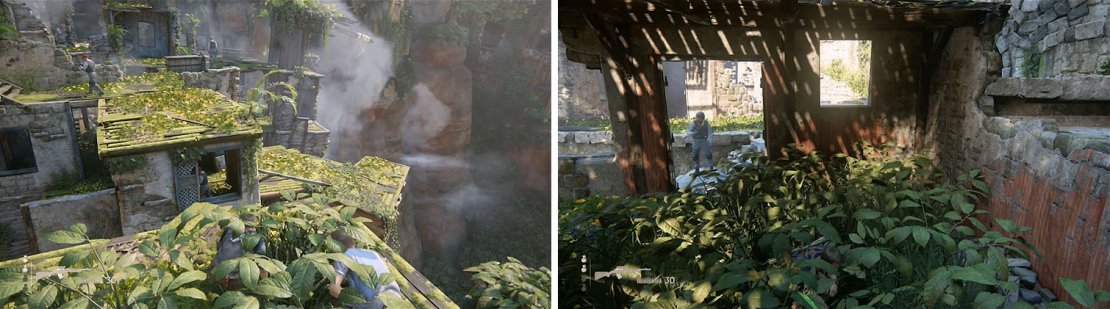 Make sure the coast is clear before jumping to the window (left). When you can&rsquo;t shimmy any more use the plants for cover (right).