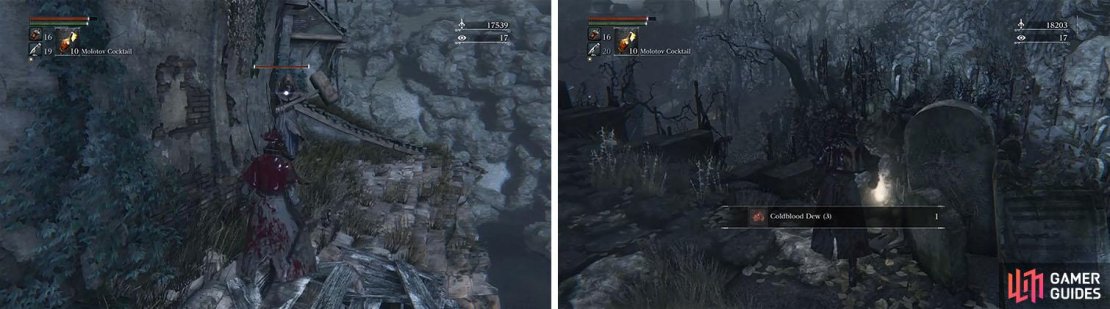 Watch out for the mallet on the roof and then grab the Coldblood Dew on the other side.