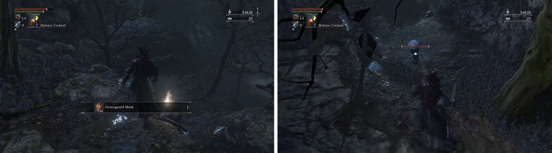 Grab the Graveguard Mask and then drop down to the area below the gap.