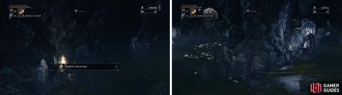 Pick up the Madman&rsquo;s Knowledge and then make sure to kill the Winter Lantern in the corner.