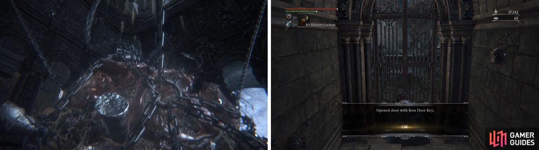 After dropping the Brain of Mensis you can access the area behind the Iron Door.