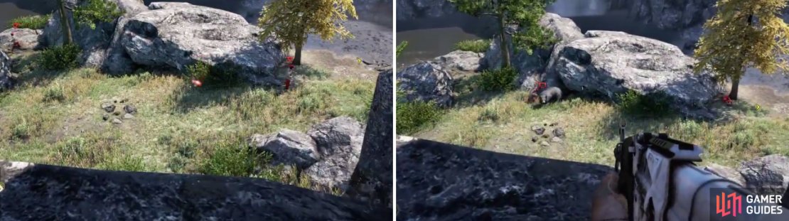 Tossing bait will sometimes attract the attention of dangerous animals, like bears, leopards or even the dreaded honey badger. It can also be used to distract them while you sneak by.