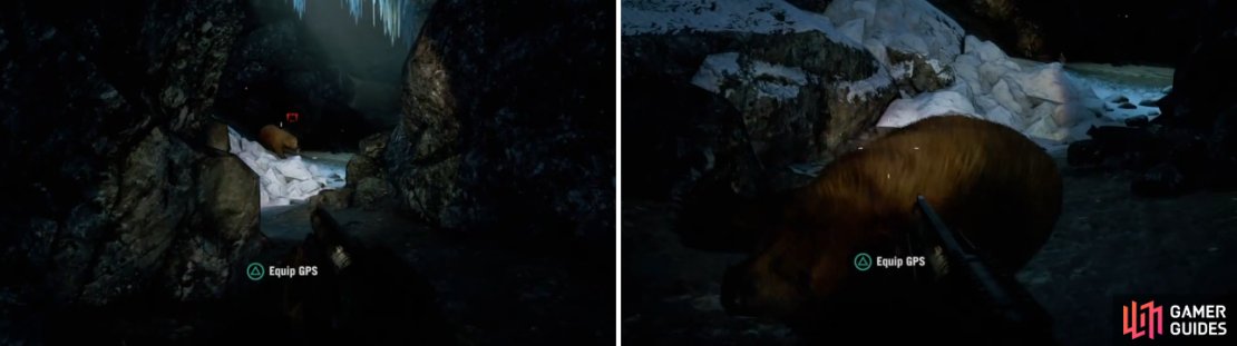You could distract the bear, but it&rsquo;s better to kill it, with one of the easiest ways being with a shotgun.