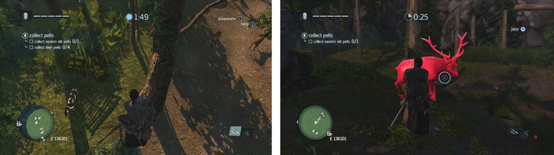 Use air assassinations or tranquilisers to take the deer down (left). Approach the elk to have it attack you, hit the button prompts to take it down (right).