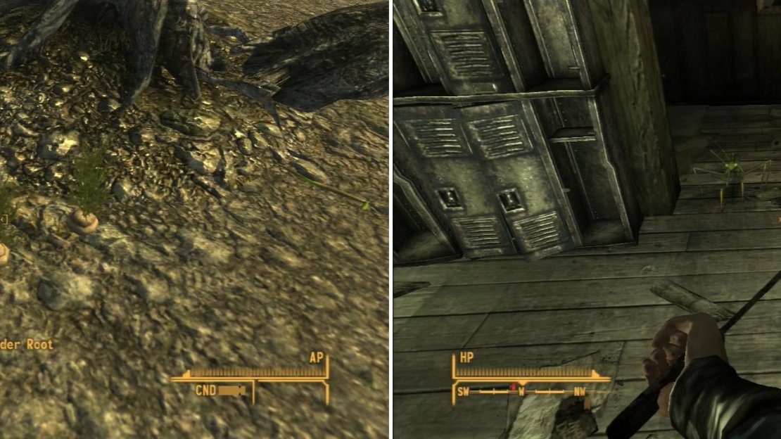 You can find some Xander Roots outside of the Goodsprings Schoolhouse (left). The schoolhouse will make a fine place to stash loot… if you can clear out the Giant Mantises who are infesting the interior (right).
