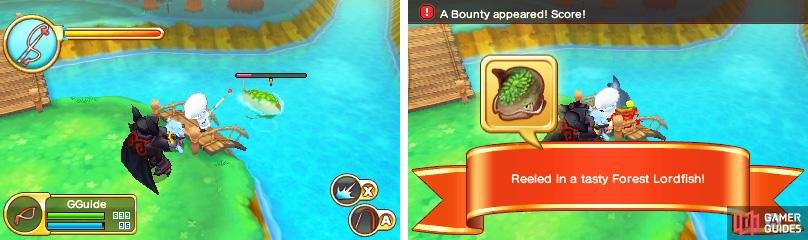 Lordfish doesn&rsquo;t always appear; if it&rsquo;s nowhere in sight, come back another day