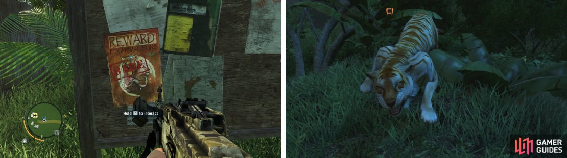 Rare Path of the Hunter missions have &ldquo;RARE&rdquo; stamped on the bulletin board (left). Make sure you are extremely careful, as these rare animals can be quite dangerous.