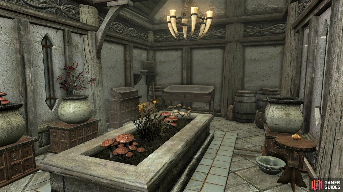 You can plant any plants or fungus in the planters.
