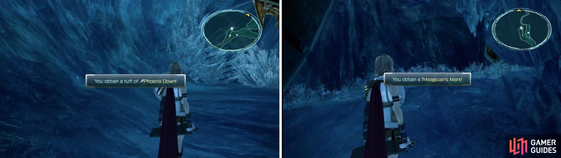 8 X Strange Fluid (left) and a Magician&rsquo;s Mark (right).