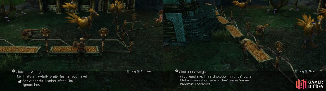 Show the Chocobo Wrangler the Feather of the Flock (left) after which you’ll overhear a rather odd “Chocobo” (right).