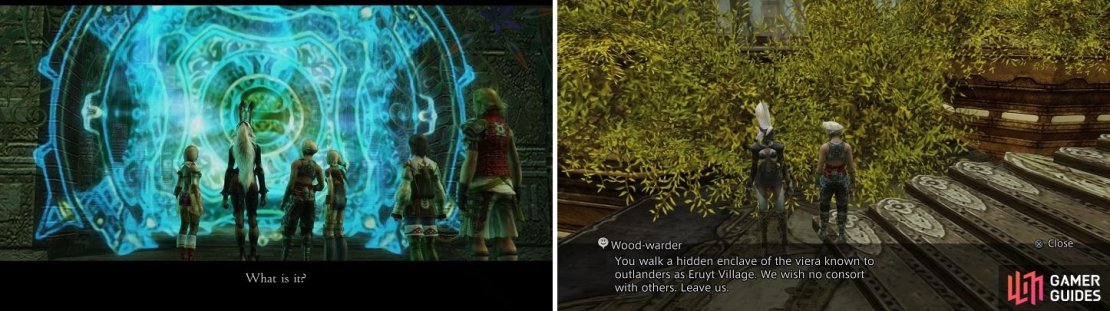 There are barriers blocking your progress during your first visit to Golmore Jungle (left). The Viera aren&rsquo;t very welcoming of outsiders to their village (right).