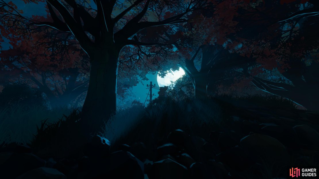 You&rsquo;ll see the more spectral moments of There are No Ghosts at the Grand during the night.