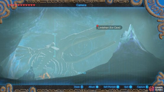 Then snap a pic of the leviathan&rsquo;s skull