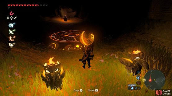 Bring the orb to the pedestal
