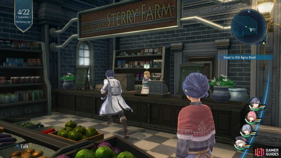 Head to the Albion Garden Department store in Saint-Arkh to find the Rainbow Rubia