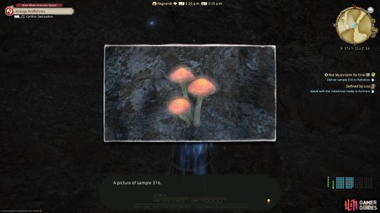 Head to the mine to find a mushroom that looks like this