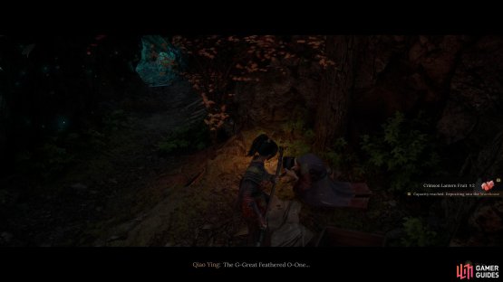 Defeating the Bo Sorcerer seems to break the quest. So keep this in mind this could be the final time you speak to her. Image via Gamer Guides / 505 Games.