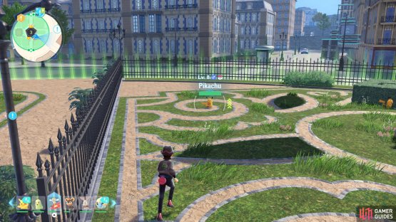 to find several Pikachu&rsquo;s. 