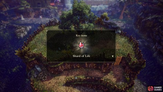 &hellip;and in some cases, Shards of Life!