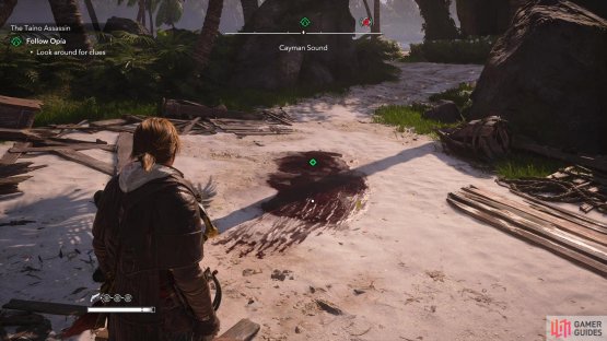 and a pool of blood.