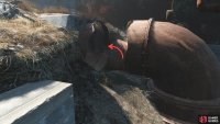 You can bypass the Raiders guarding the exterior of the factory by sneaking in through a pipe,