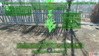 This request is much easier than water - just stick some plant s in the ground and assign some settlers to tend to them.