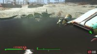 The water-filled pit in the middle of the parking lot is highly radioactive.