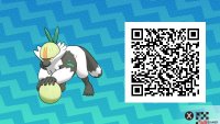 216 Passimian