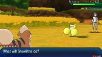 Pokémon: Ultra Sun & Moon Screenshot