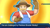 Pokémon: Ultra Sun & Moon Screenshot