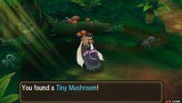 Mushrooms of all sizes can be sold to Poké Marts.