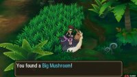 Pokémon: Ultra Sun & Moon Screenshot