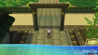 Your tour of Malie City begins in earnest!