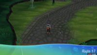 This area is patrolled by Team Skull, so be on your guard.