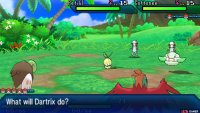 Double Battles are a rare occurence in the story, but they do exist!