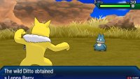 After finding Ditto, you need to make it self-sustaining.