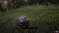 You&rsquo;ll find the head with the piece on a rock next to the body