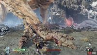 Focus on the claws when they&rsquo;re on the ground.