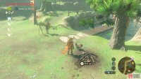 This is the Cucco by the fire