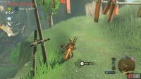 This is the Cucco on the path to Ta’loh Naeg Shrine