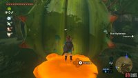 Pay up the rupees and the fairy shall appear