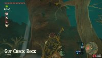 This is the Gut Check Rock. It&rsquo;s very tall with platforms scattered around it