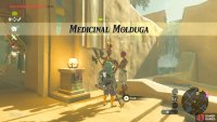 This sidequest will involve defeating a desert overworld boss