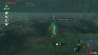 The lone Zora with the exclamation mark is Fronk’s wife