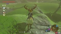 It takes less than one wheel of Stamina to tame a Mountain Buck