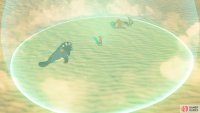 Riju’s Thunder Helm will shield you both