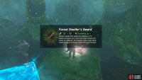 The chest on the rock contains another Forest Dweller&rsquo;s Sword