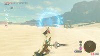 The first ring is found just northwest of Gerudo Town