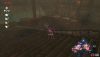 The chest is guarded by two Lizalfos.
