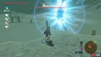 Use bombs to stun the Molduking